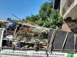 Best Dumpster Rental Services  in Anchorage, KY